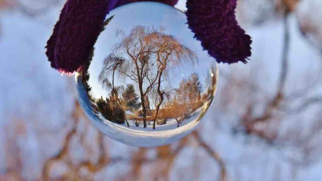 tree-reflected-crystals